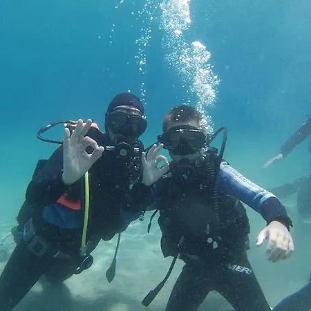 Dvor (adults Only) 3* أوميس